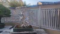 IMG_20260213_151443