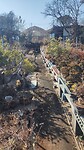 IMG_20260213_134053