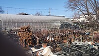 IMG_20260213_133900