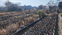 IMG_20260213_133850