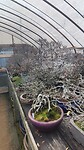 IMG_20260213_122517