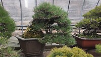 IMG_20260213_101910