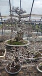 IMG_20260213_101130