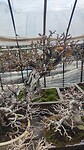 IMG_20260213_101117