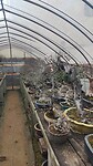 IMG_20260213_100842