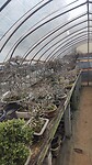 IMG_20260213_100839