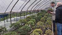 IMG_20260213_100543