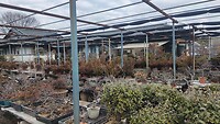 IMG_20260213_092417