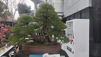 IMG_20260214_151236