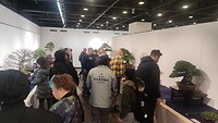 IMG_20260214_121257