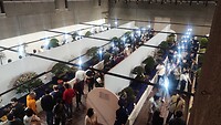 IMG_20260214_114253