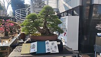 IMG_20260214_102122
