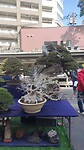 IMG_20260214_100557