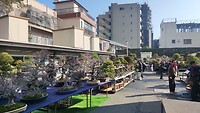IMG_20260214_092524