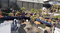 IMG_20260214_090939