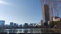 IMG_20260214_085933