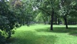 Imola: de rust in het park