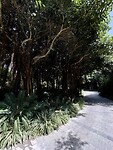 IMG_5696