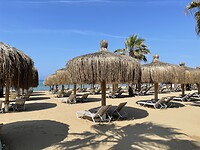 IMG_5666