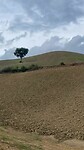 Wolken time-lapse 1