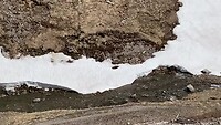 Watervalletje die onder de sneeuw door gaat