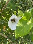 IMG_8077