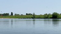 Het zwanenmeer