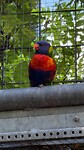 IMG_1204