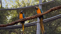 IMG_1206