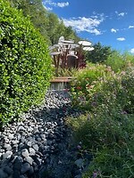 IMG_6553