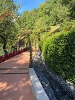 IMG_6555