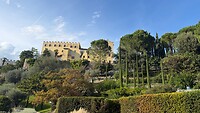 IMG_1264