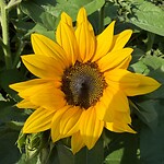 IMG_1265