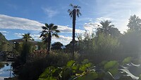 IMG_1263