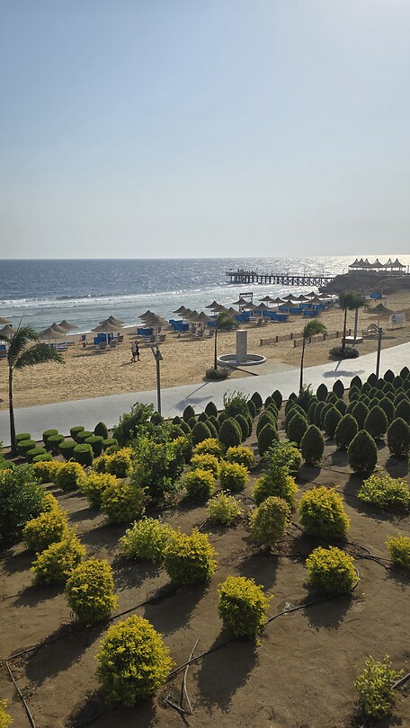 Sataya Reef (Egypte) dag 2