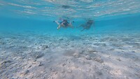 Sataya Reef (Egypte) dag 2