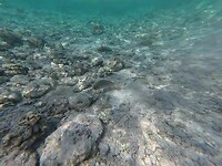 Sataya Reef (Egypte) dag 2
