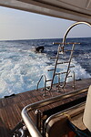 Sataya Reef (Egypte) dag 3