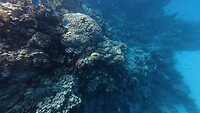 Sataya Reef (Egypte) dag 4