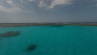 Sataya Reef (Egypte) dag 4