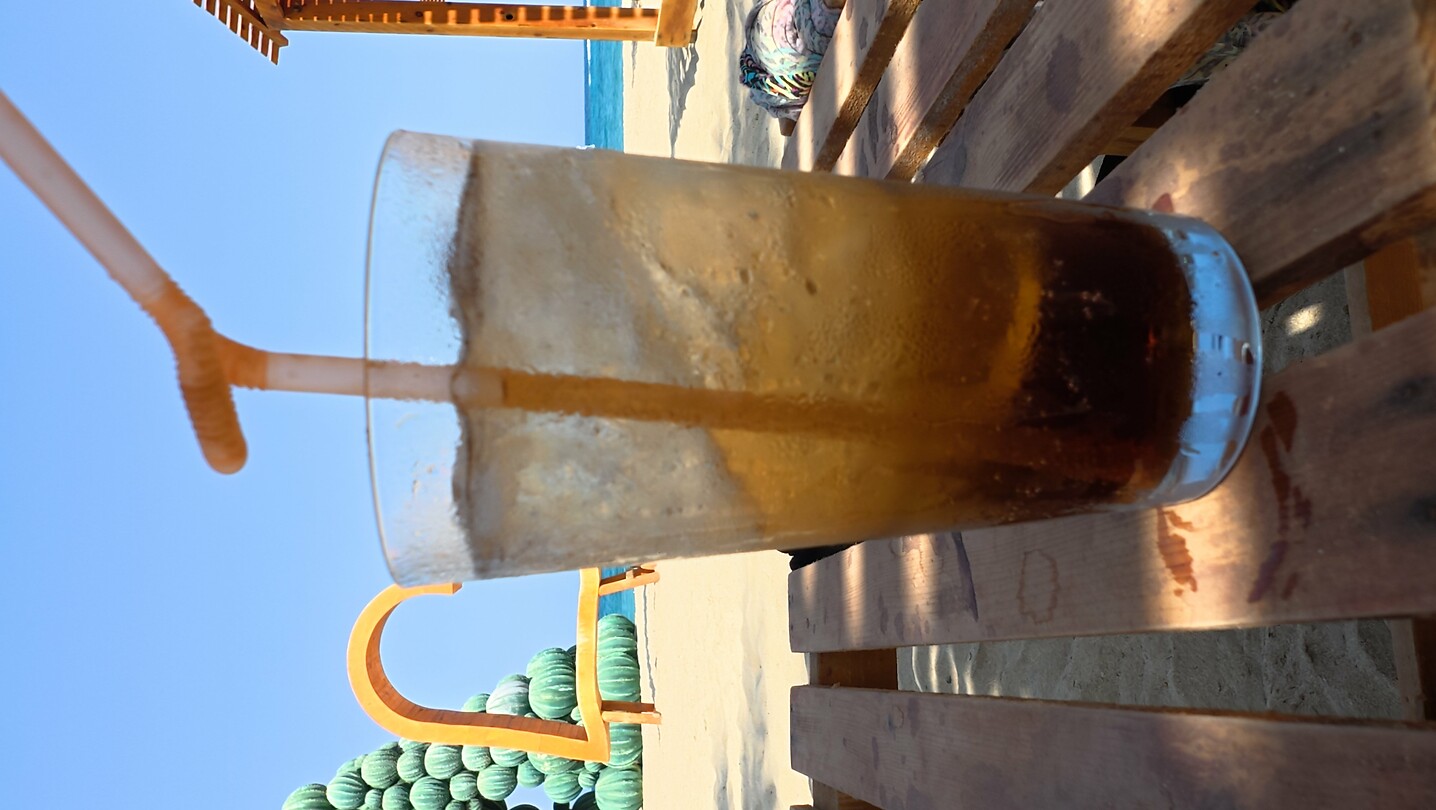Sataya Reef (Egypte) dag 10