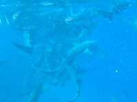 Malé, Maldiven