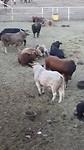 20190724_205024