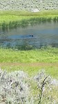 20190725_124329