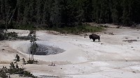 20190725_143257