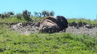 20190725_142523(0)