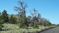 20190728_113343
