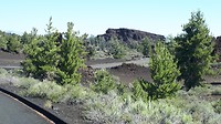 20190728_114417