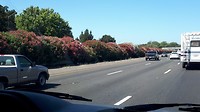 20190730_102805