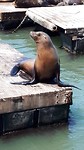 20190731_115435